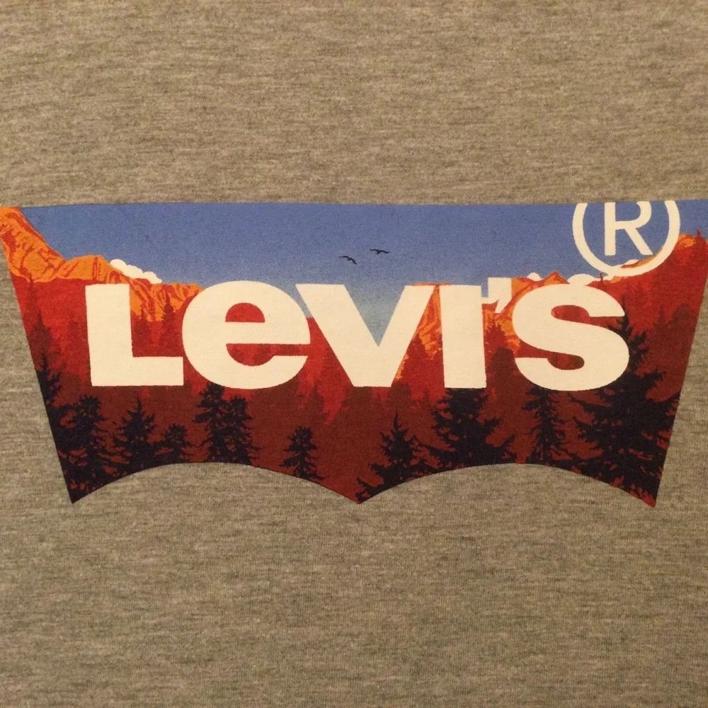 Levi’s Mountain Forest Logo Tee NWOT